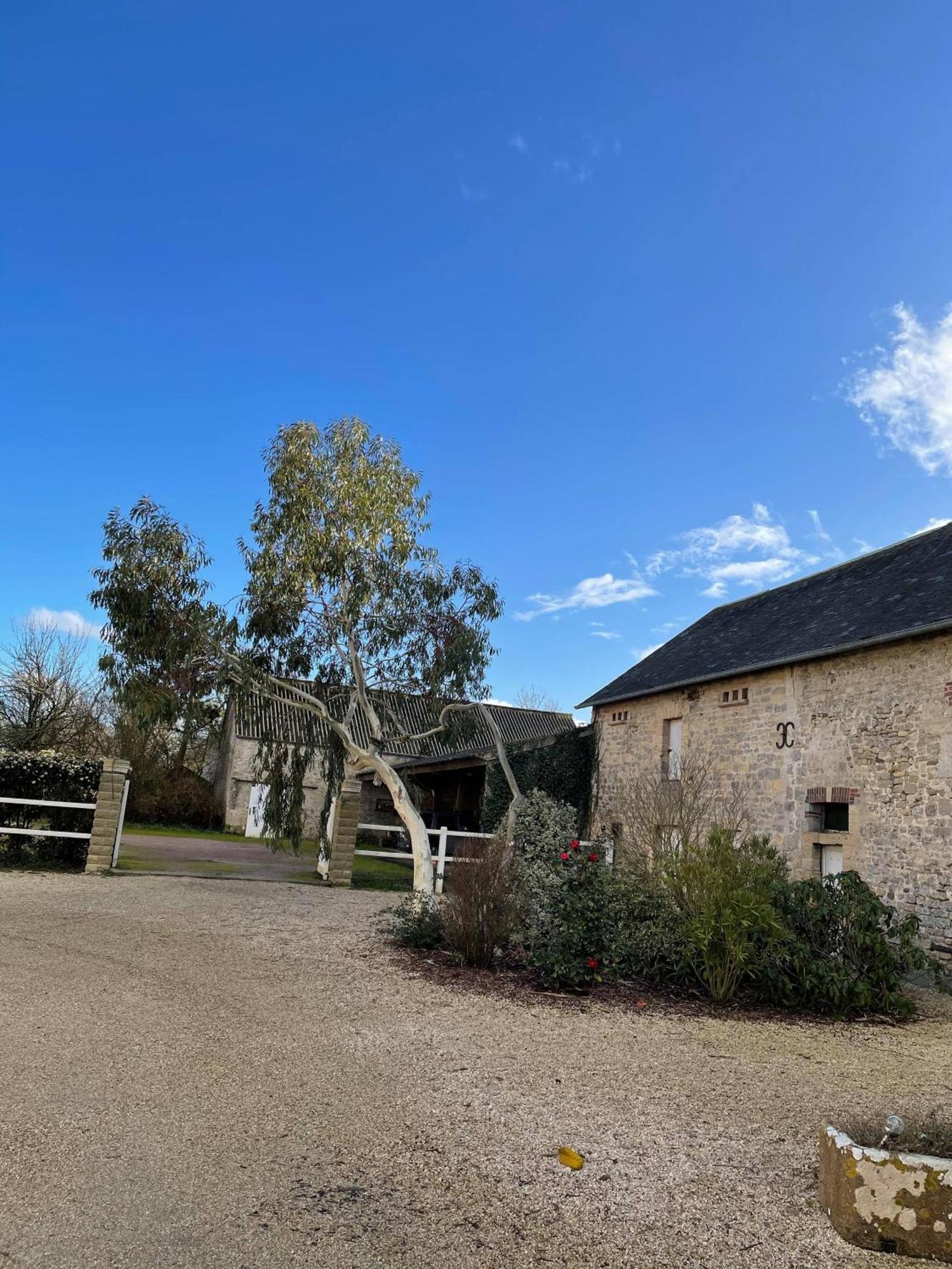 Les Chambres D'Omaha Beach Etablissement Avec Deux Chambres D'Hotes, Petit-Dejeuner Compris Fait-Maison Et Produits Locaux 滨海维耶维尔 外观 照片